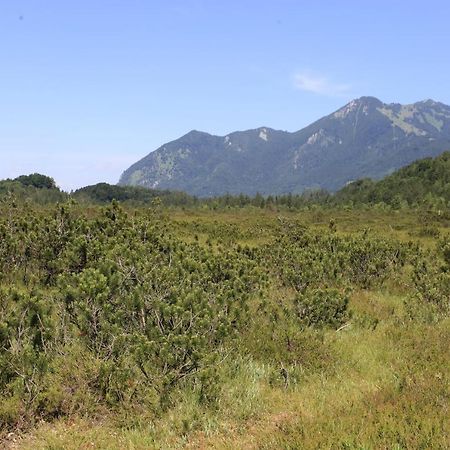 Rait'Ner Wirt Otel Schleching Dış mekan fotoğraf